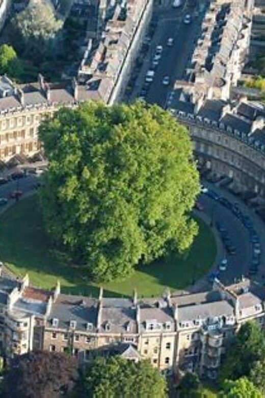 Bath: Local Pubs & Historic Sights Walking Tour (3h) - Key Things You’ll Notice on This Bath Pub and Historic Sights Walk