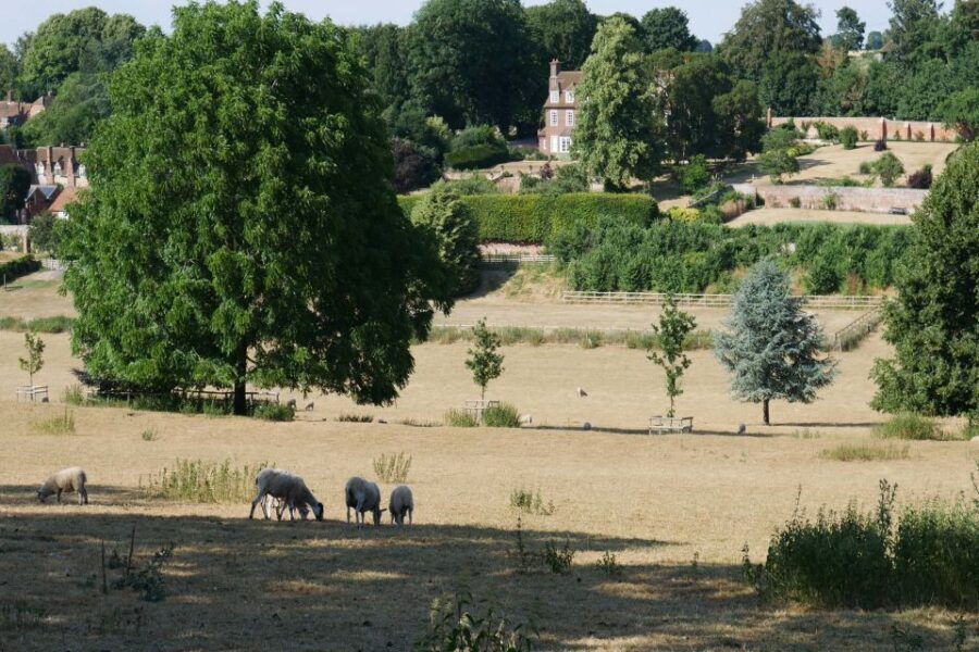 Day-Tour of the Midsomer Murders Locations - Henley-upon-Thames on Foot: A Short Walk With Strong Episode Links