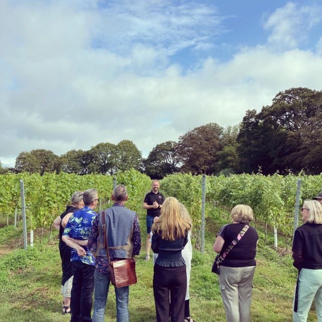 From Brighton: Sussex Wine Tour on a Vintage Bus with Lunch - The day’s timing and how to plan your expectations