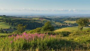From London: Canterbury & White Cliffs of Dover Tour - Deal on the Seafront: Fish and Chips, Roman-Era Clues, and Easy Walking
