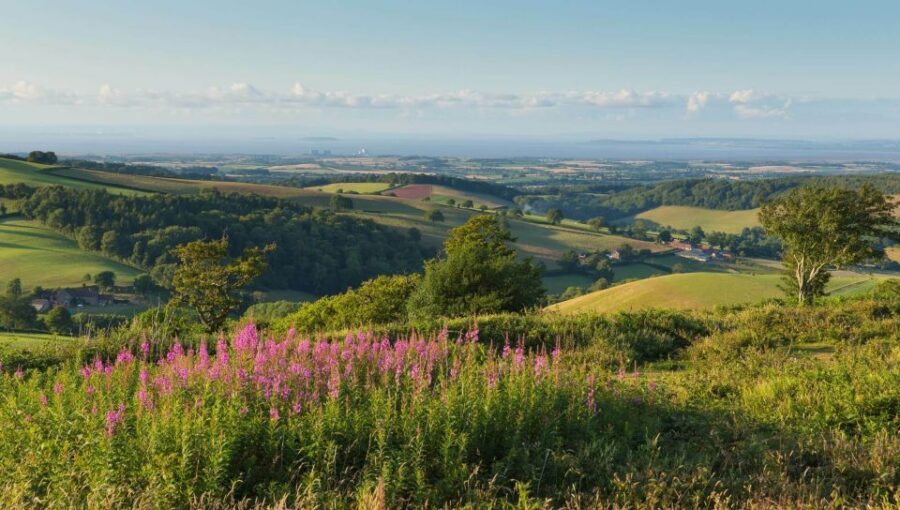 From London: Canterbury & White Cliffs of Dover Tour - Deal on the Seafront: Fish and Chips, Roman-Era Clues, and Easy Walking