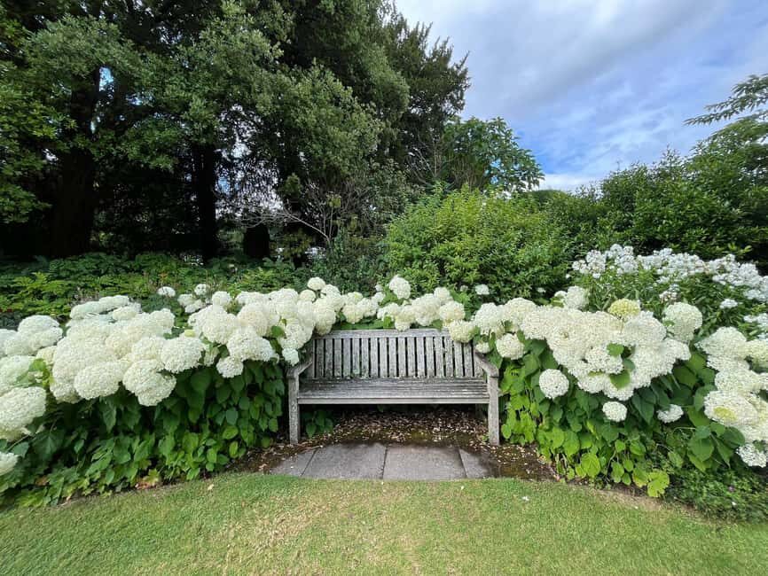 From London: Day Trip to Downton Abbey, Oxford and Bampton - Should you book this tour?