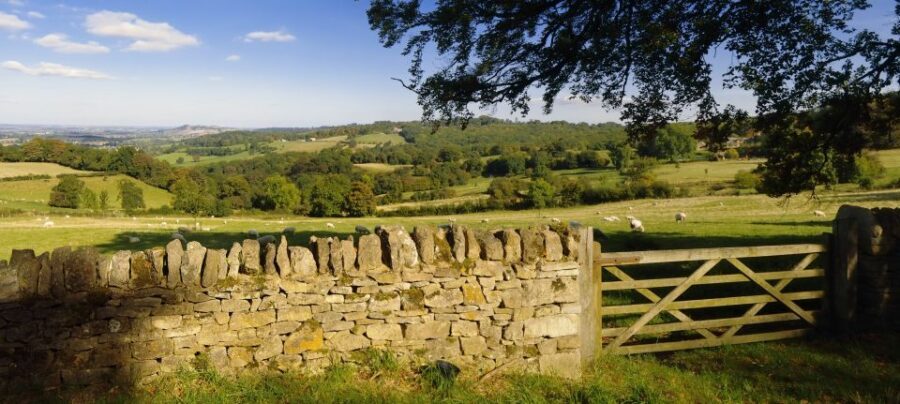 From London: Full-Day Cotswolds Small-Group Tour - Bibury Time: Why 1.5 Hours Feels Like the Sweet Spot