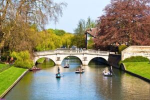 From London: Oxford & Cambridge Day Tour - Oxford on foot: dreaming spires, courtyards, and the Bodleian Library