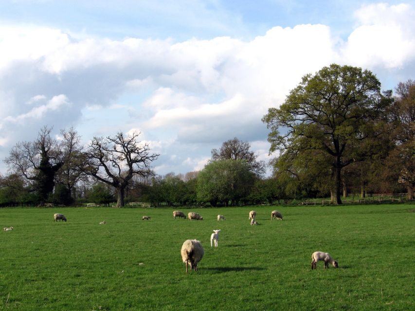 From London: Oxford, Stratford-upon-Avon & Cotswolds Trip - Who This Trip Fits Best (and Who Might Feel Frustrated)