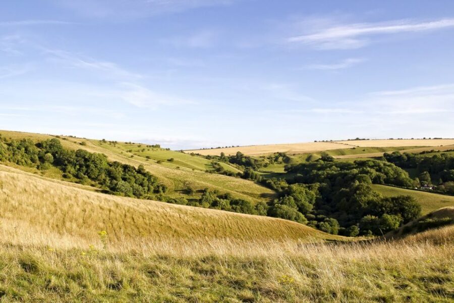 From London: Stonehenge and Bath Day Trip with Ticket - Who Should Book This Tour (and Who Should Skip It)