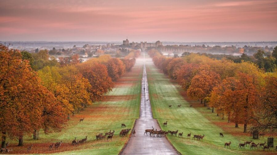 From London: Stonehenge, Windsor and Salisbury Guided Tour - Salisbury Cathedral: Gothic Power and the Intro Talk Advantage