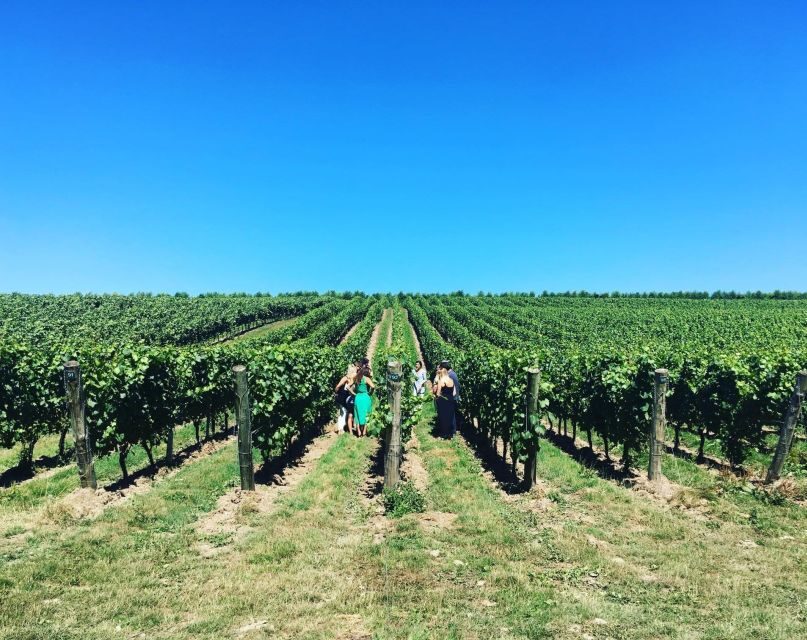 From London: Vintage Bus Wine Tour with Return Train Tickets - Rain-proof planning: what to pack and what to avoid