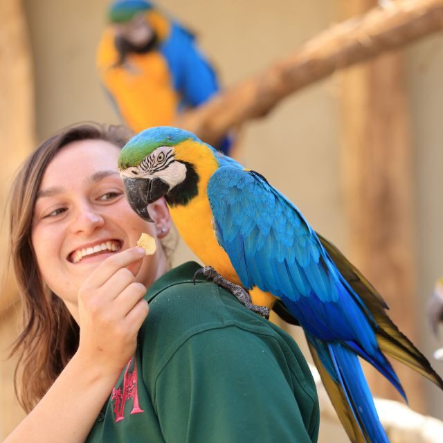 Hobbledown Heath One-Day Entry Ticket - Animal walkthroughs, keeper talks, and the farm-zoo mix