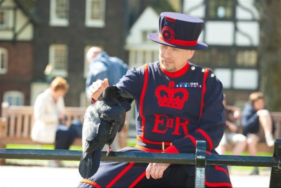 Hop on Hop off London Bus Tour & Tower of London - Using the included audio guides without losing time