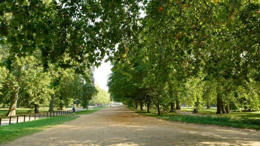 London: 24-Hour Hop-On Hop-Off Bus Pass - Where to board: Marble Arch and Piccadilly as smart starting points