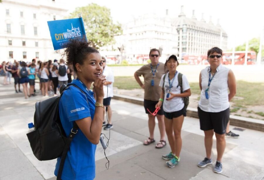 London: Buckingham Palace Entry Ticket & Royal Walking Tour - What the Royal Collection details teach you