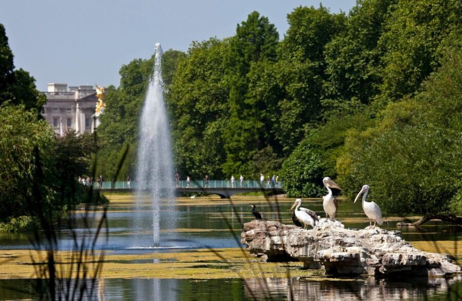 London: Buckingham Palace State Rooms & Royal Walking Tour - Is $93 worth it for State Rooms access and royal context?