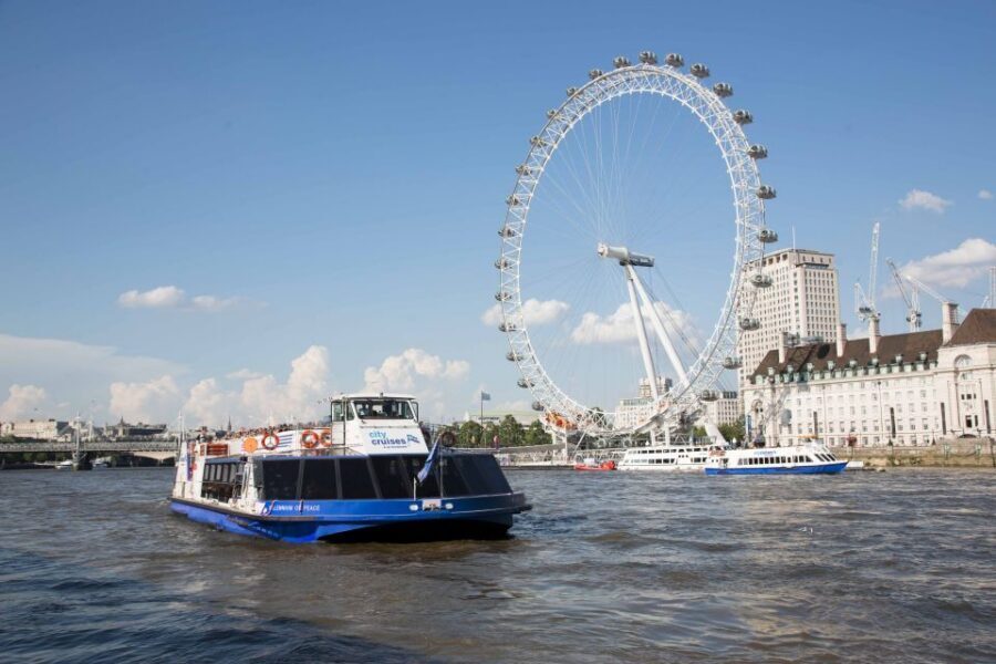London: City Tour with River Cruise & London Eye - London Eye panoramas: set time matters more than you think