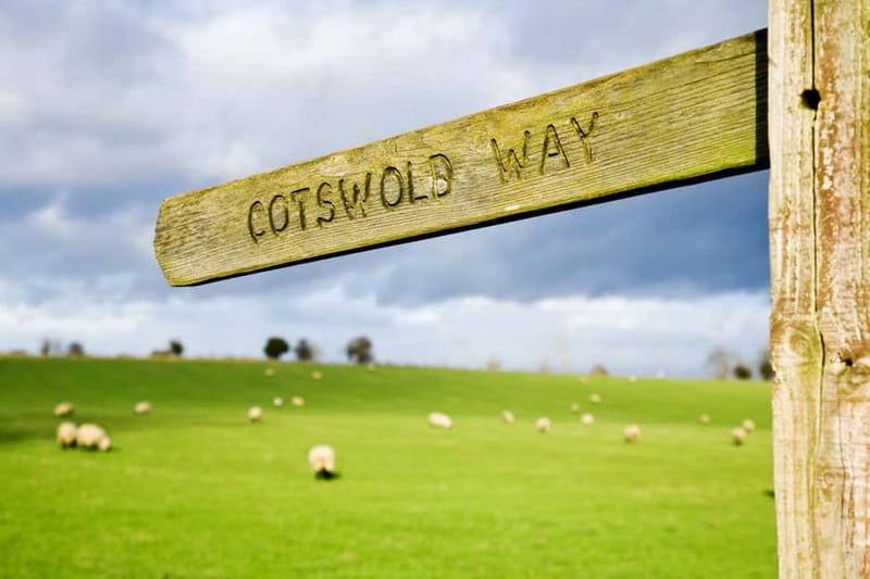 London: Cream Tea at Blenheim Palace & the Cotswolds Tour - Cream tea at Blenheim Palace: the kind of included break you’ll actually remember
