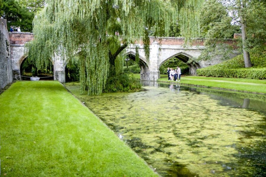 London: Entry Ticket to Eltham Palace and Gardens - Key moments you’ll care about at Eltham Palace