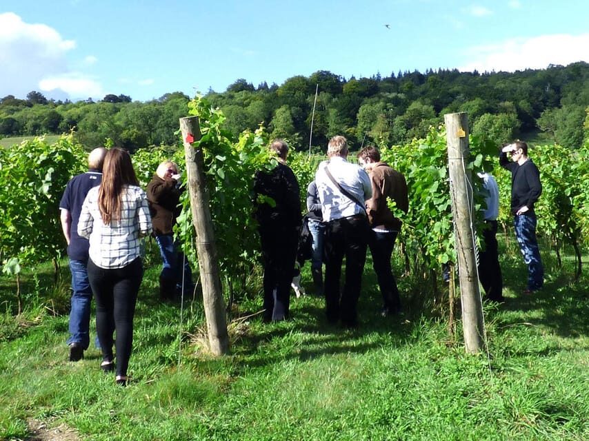 London: Full-Day English Wine Tour with Lunch - Stop Two: guided tasting plus shop time