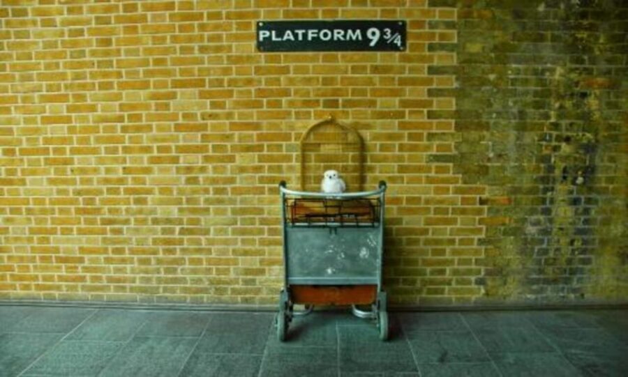 London: Harry Potter Tour, River Cruise & The London Dungeon - Key points before you go