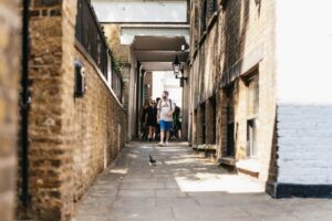 London: Historic Pubs of Central London Walking Tour - Southwark to the West End: Following Beer and Backstreets