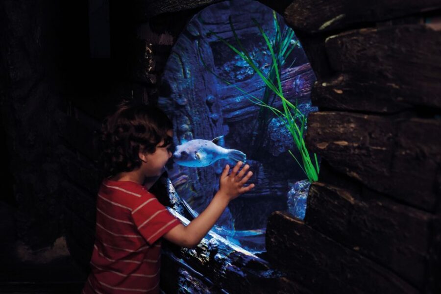 London: Madame Tussauds, London Eye & SEA LIFE Combo Ticket - What you’re really buying with this combo ticket