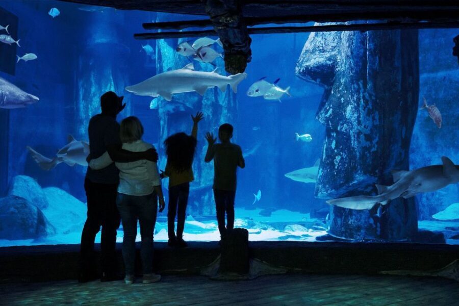 London: Madame Tussauds, London Eye & SEA LIFE Combo Ticket - Timing and ticket slots: how to plan the order without stress