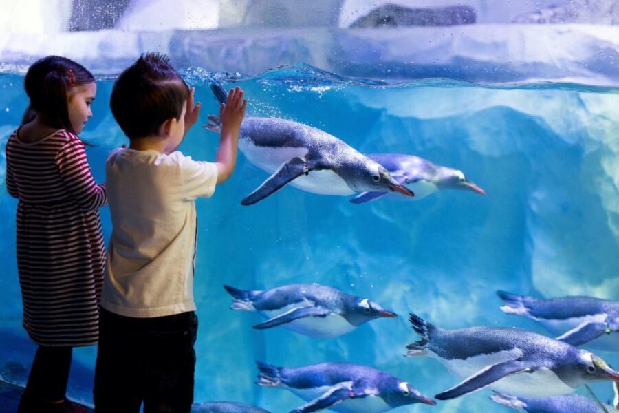 London: Madame Tussauds, London Eye & SEA LIFE Combo Ticket - Price and value: is $72 per person a good deal?