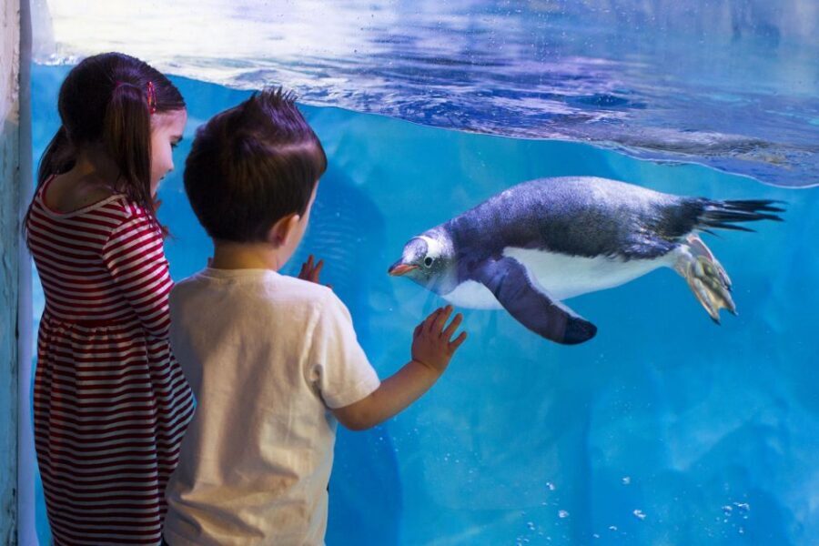 London: Madame Tussauds, SEA LIFE and London Dungeon Entry - Key things that make this combo worth your time