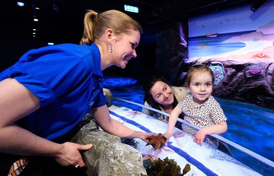London: Madame Tussauds, SEA LIFE and London Dungeon Entry - Who this combo ticket is best for