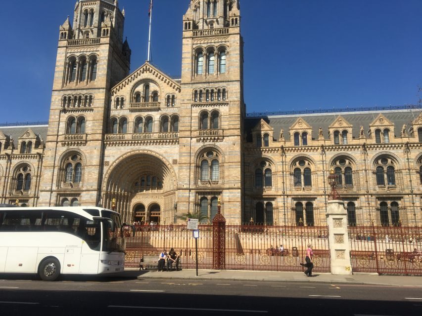 London: Natural History Museum Entry Ticket and Guided Tour - Why This One-Hour Natural History Museum Tour Feels Worth It