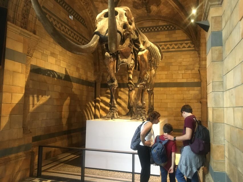London: Natural History Museum Entry Ticket and Guided Tour - Volcanoes and Earthquakes Gallery: Understanding How Earth Changes