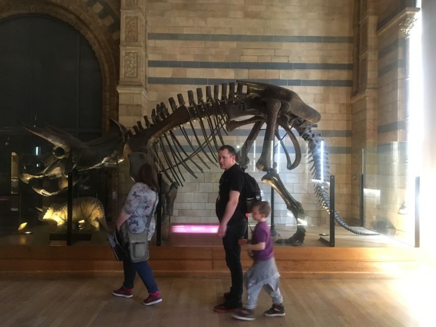 London: Natural History Museum Entry Ticket and Guided Tour - Evolution Gallery: A Clearer Sense of How Life Changes Over Time