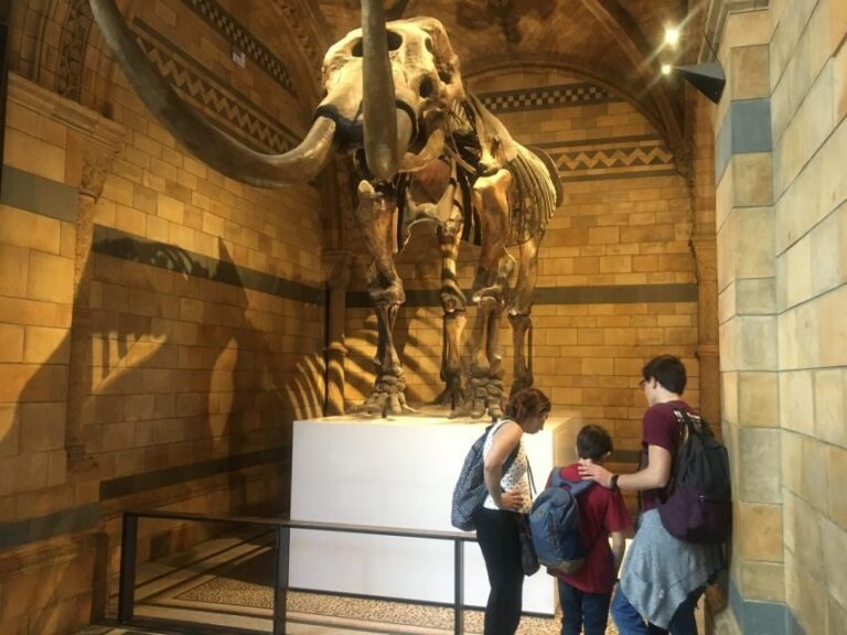 London: Natural History Museum Entry Ticket and Guided Tour - Central Hall Focus: Diplodocus and the Museum’s Big-Scale Entrance