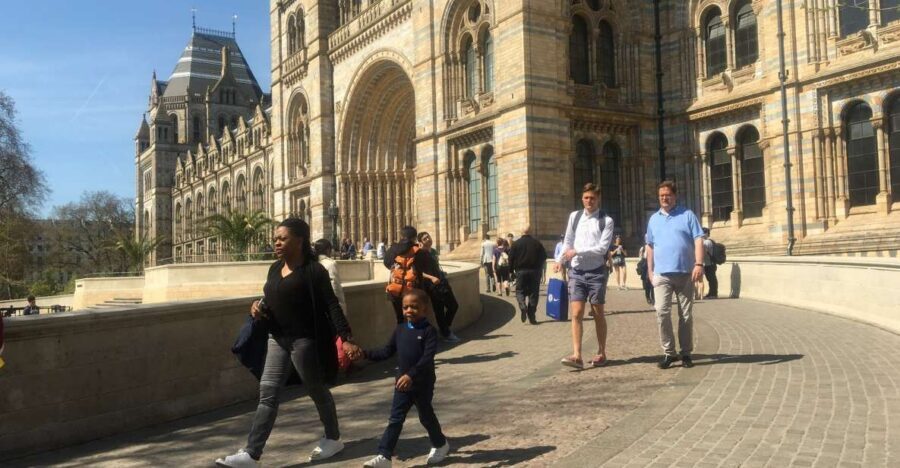 London: Natural History Museum Entry Ticket and Guided Tour - Price and Value: Is $76 a Smart Use of Your London Time?