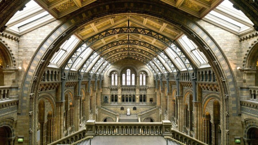 London: Natural History Museum Guided Tour - Why this Natural History Museum tour works in 2.5 hours