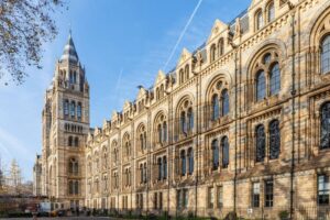 London: Natural History Museum Guided Tour - Deep time start: Iguanodon teeth and Sophie the Stegosaurus