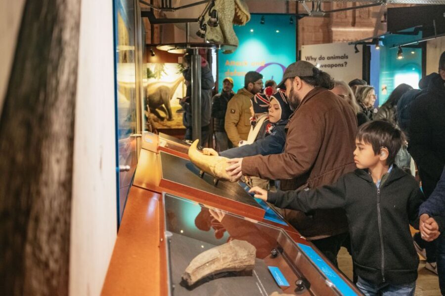 London: Natural History Museum Private Guided Family Tour - Key highlights worth planning around