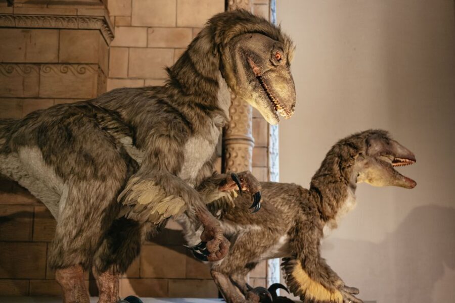 London: Natural History Museum Private Guided Family Tour - Dinosaur galleries: the stop that grabs attention and keeps it