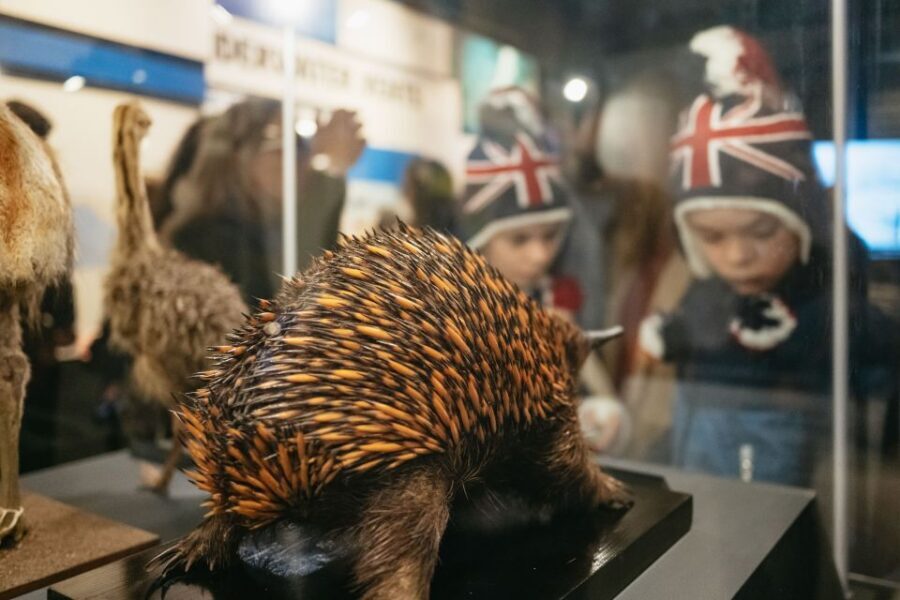 London: Natural History Museum Private Guided Family Tour - Earth’s history and the science behind the exhibits