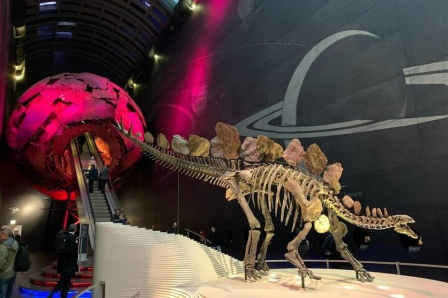 London: Natural History Museum Private Tour & Skip the line - Entering the Natural History Museum fast from South Kensington