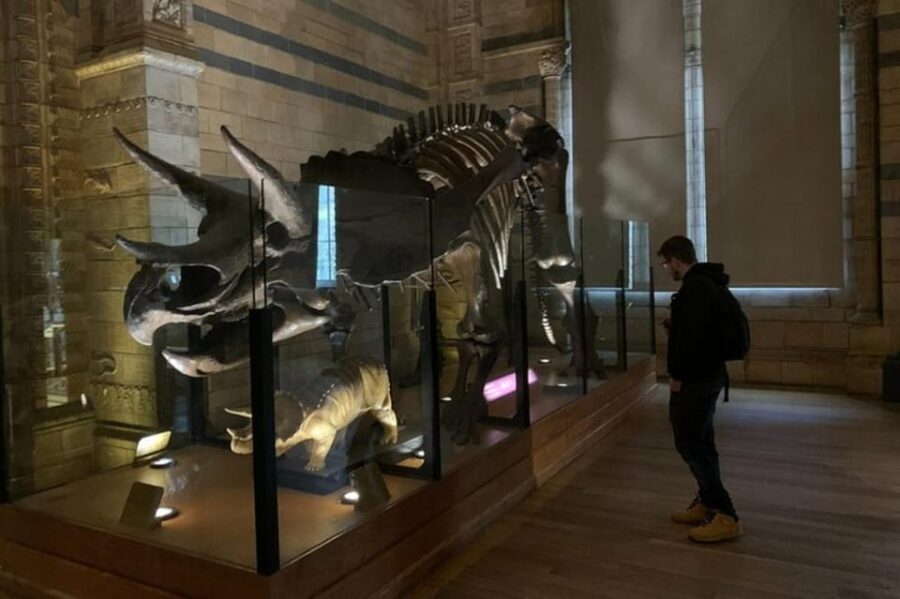 London: Natural History Museum Private Tour & Skip the line - Earthquake simulator and volcano birth: hands-on geology