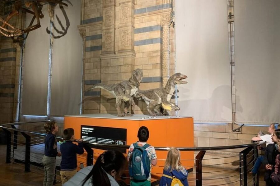 London: Natural History Museum Private Tour & Skip the line - Should you book this tour?