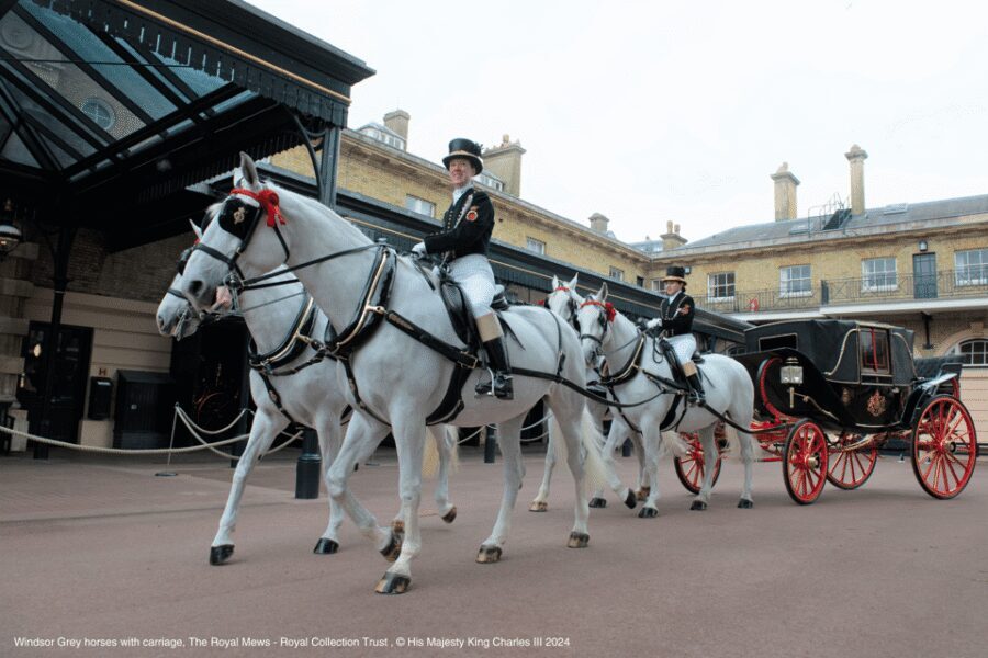 London: Royal Walking Tour with Guard Change & Royal Mews - Value check: is $79.47 a good deal?