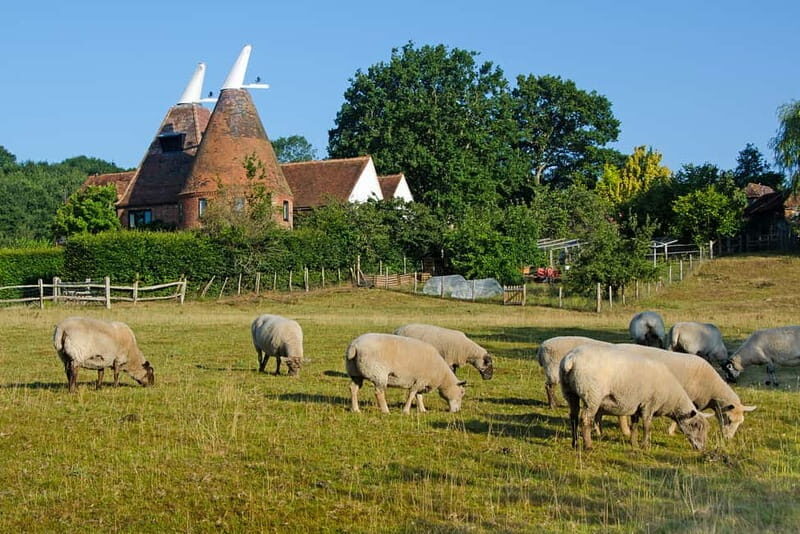 London: Small Group Canterbury, Dover & Kent Villages Tour - Price and value: what you’re paying for and what costs extra