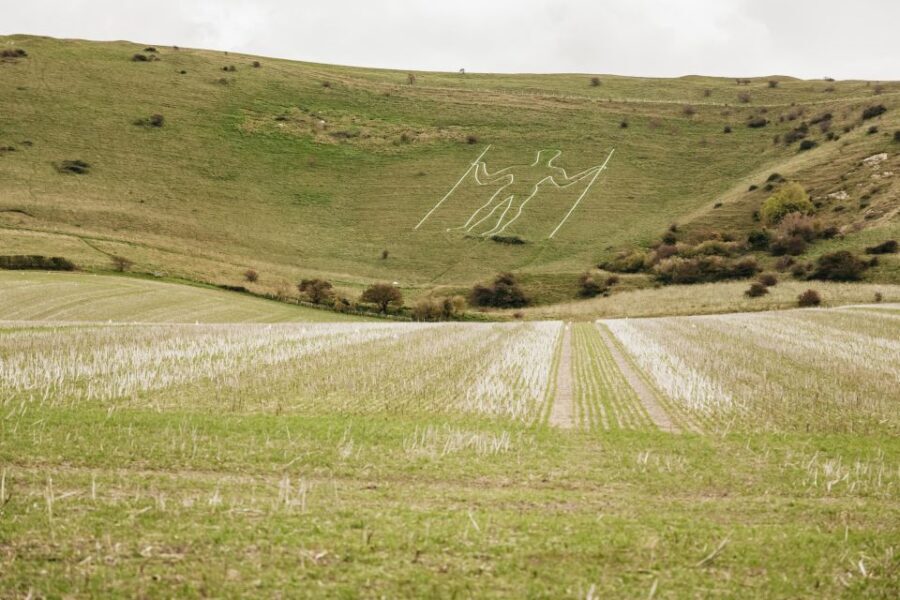 London: South Downs White Cliffs Day Trip with Train Tickets - Key highlights