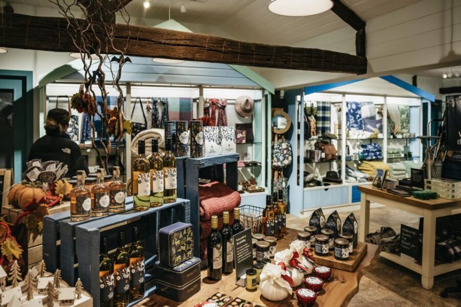 London: South Downs White Cliffs Day Trip with Train Tickets - Pace, timing, and what to pack for 9.5 hours