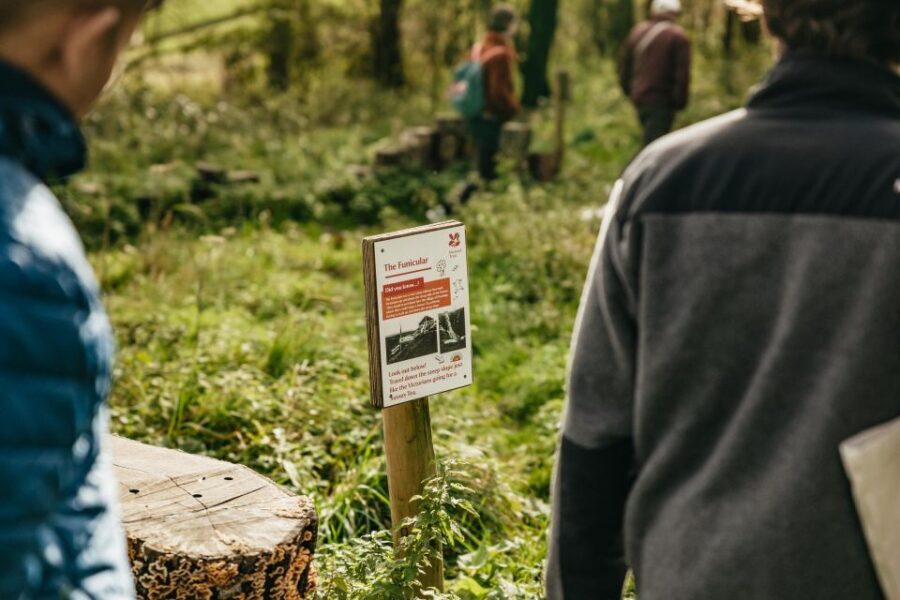 London: South Downs White Cliffs Day Trip with Train Tickets - Why the South Downs White Cliffs route is a smart use of your time