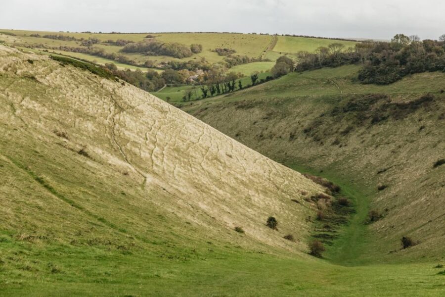 London: South Downs White Cliffs Day Trip with Train Tickets - The Brighton handoff: small-group minibus and practical comfort