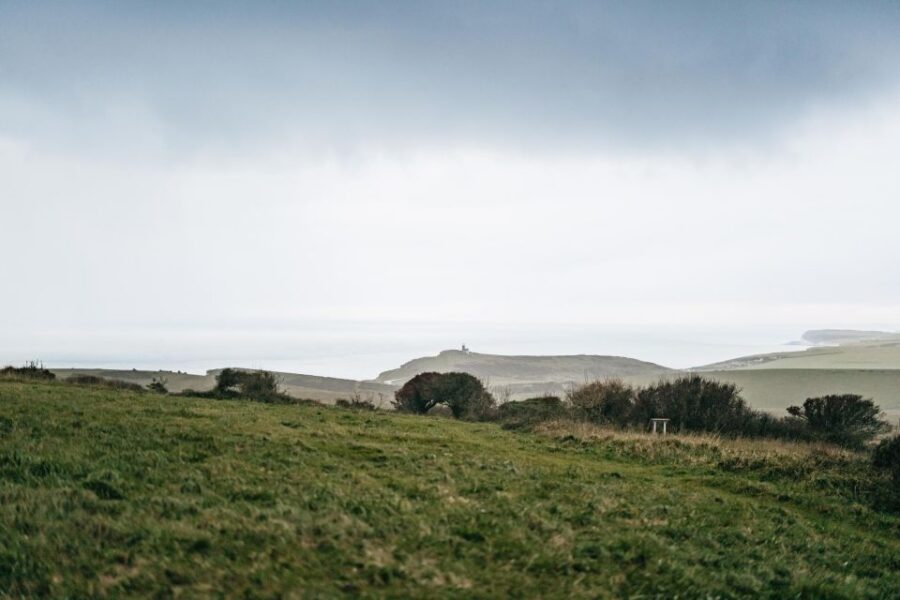London: South Downs White Cliffs Day Trip with Train Tickets - Beachy Head guided walk: where the white chalk feels real