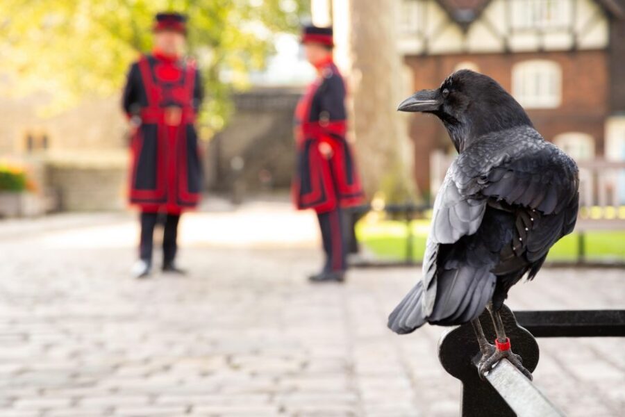 London: Tower of London, Thames Boat & Changing of the Guard - A calm break on the Thames: boat cruise with a local guide