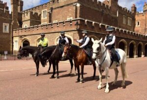London: Westminster Tour and Churchill War Rooms Visit - Buckingham Palace photo stop and the Changing of the Guard schedule